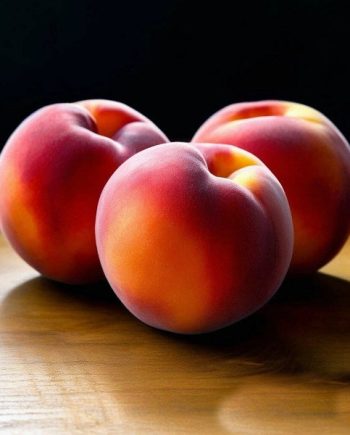 Peach White MMH 12507