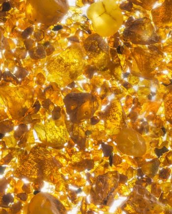 Amber Powder DBB 13478