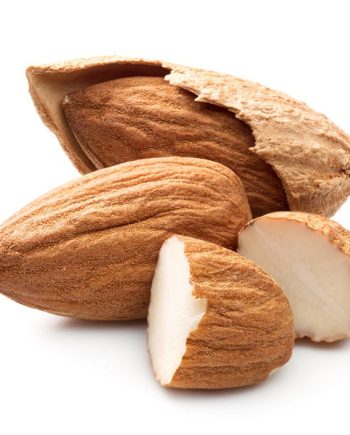 Almond Powdery DBB 13520