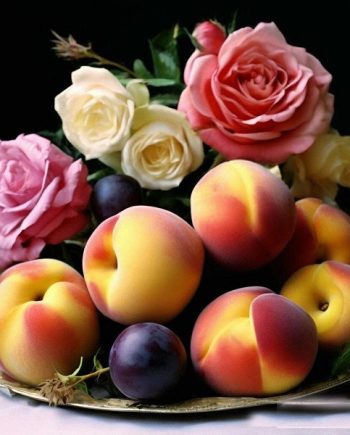 Fruits Musk MMH 18736