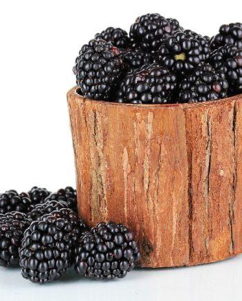 Blackberry and Amberwood DBB 19849