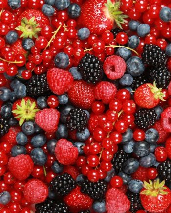 Berry Forest DFB 28701