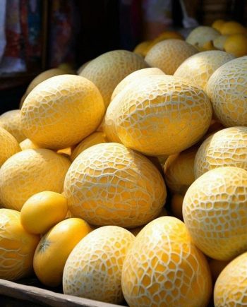 Melon Honey DFB 58551