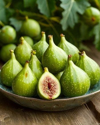 Green Fig DFB 36920