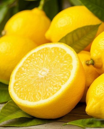 Lemon Sweet DFB 11030