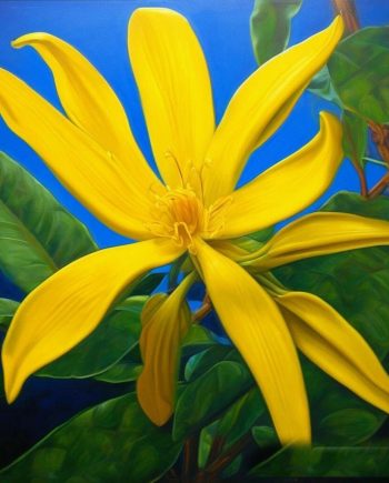 Ylang Ylang DBB 24345