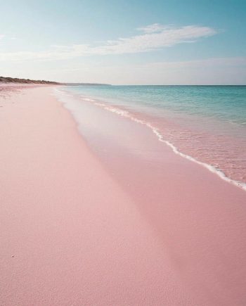 Areia Rosa DBB 27592